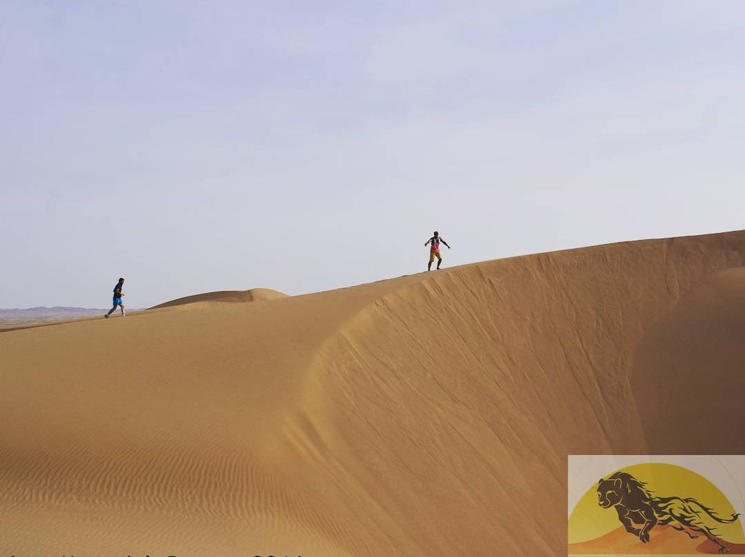 Iran Safari Tour景点图片