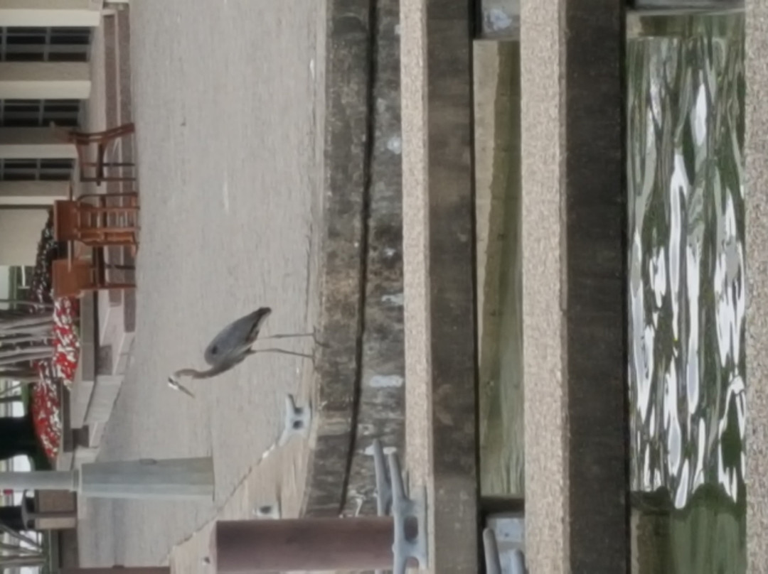 Mandalay Canal-欧文必去景点