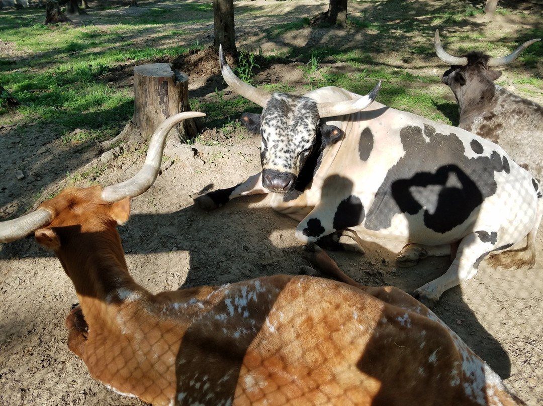 Krug Park-圣约瑟夫必去景点