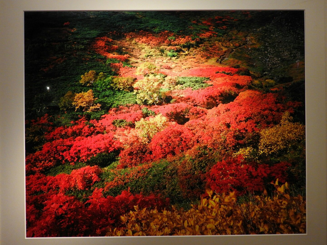 Sounkyo Mt.Daisetsu Photo Museum-上川町必去景点