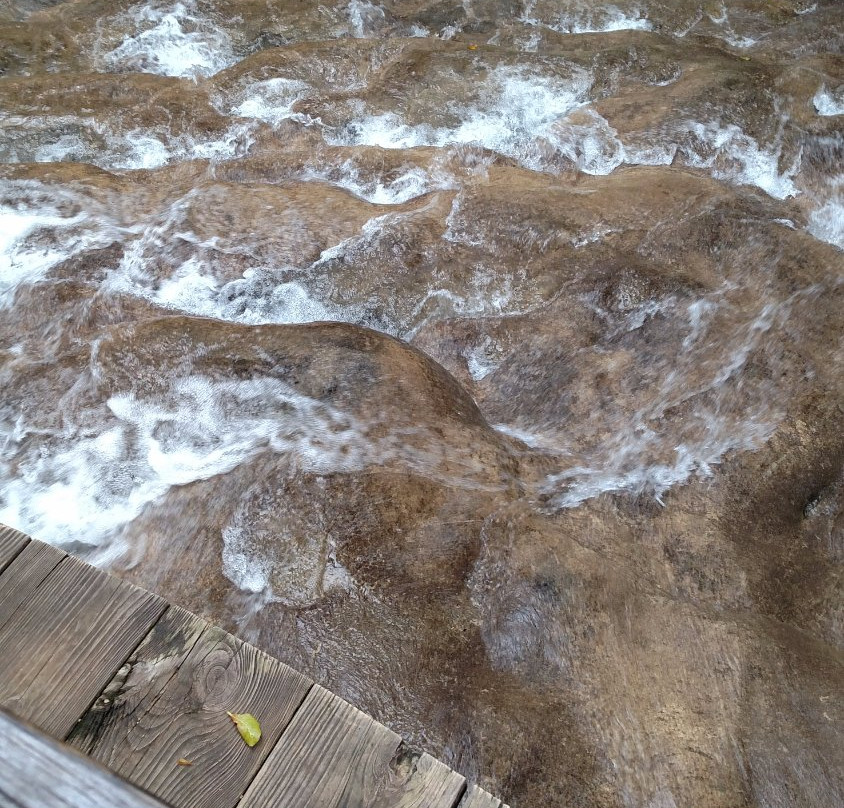 The Enchanted Gardens, Bird Aviary, and Waterfall-奥乔里奥斯必去景点