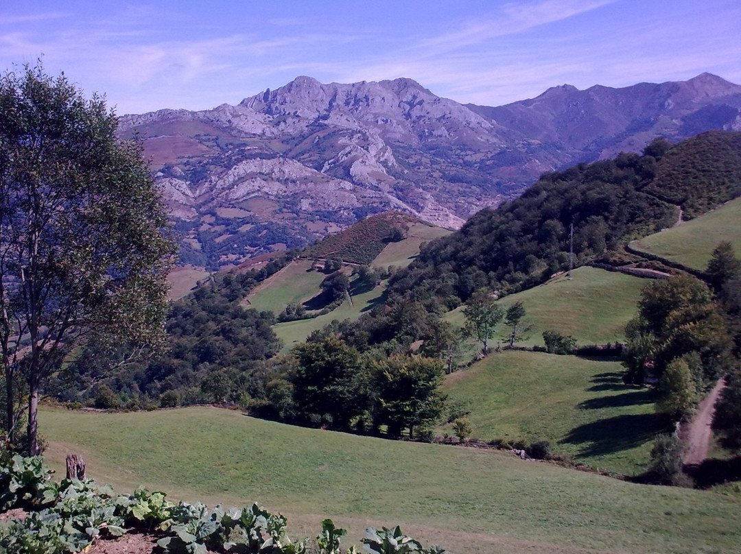 Mirador Coto Bello景点图片