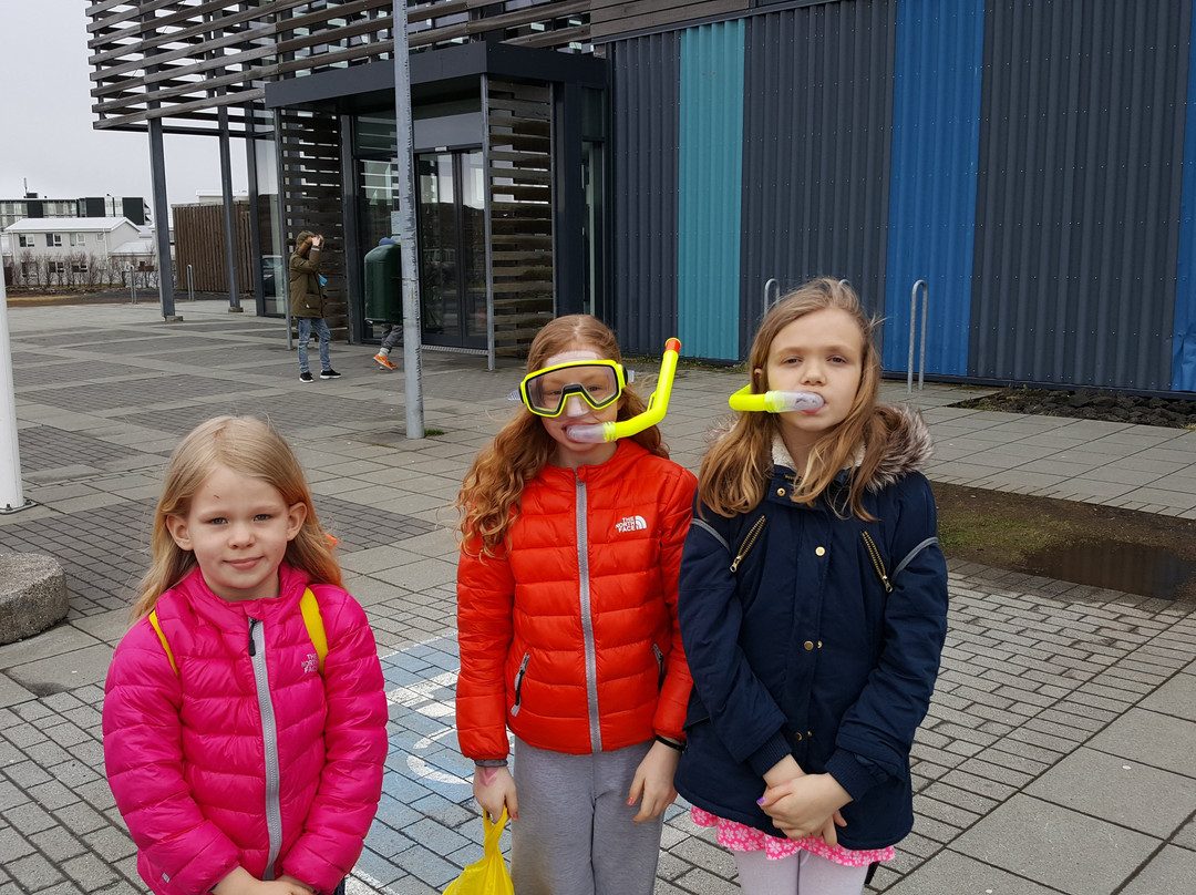 Asvallalaug-哈夫纳夫约杜尔必去景点