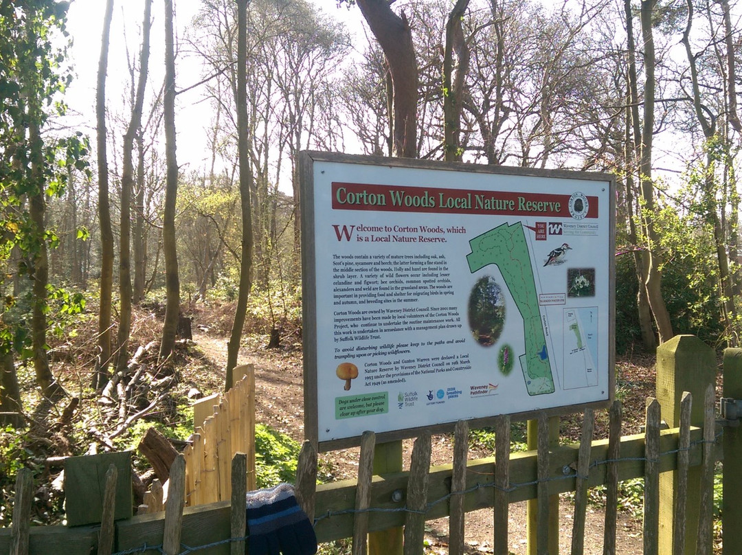 Corton Woods Local Nature Reserve景点图片
