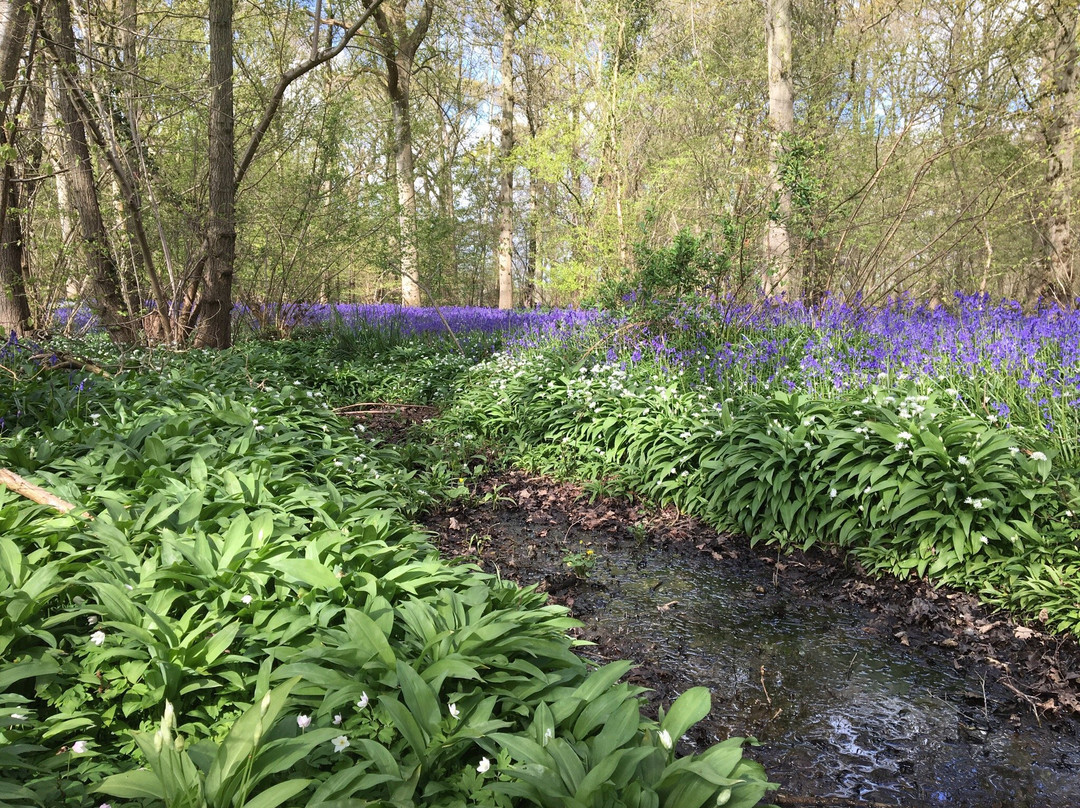 UK Electric Bike Centre-Headcorn必去景点
