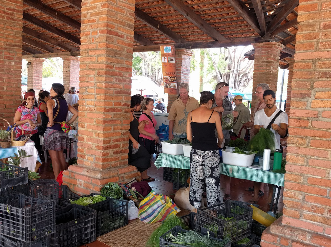 Mercado San Pancho-旧金山必去景点