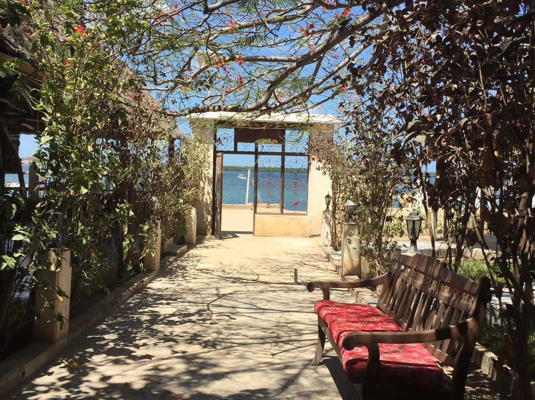 拉穆岛餐馆和美食-Mwana Arafa