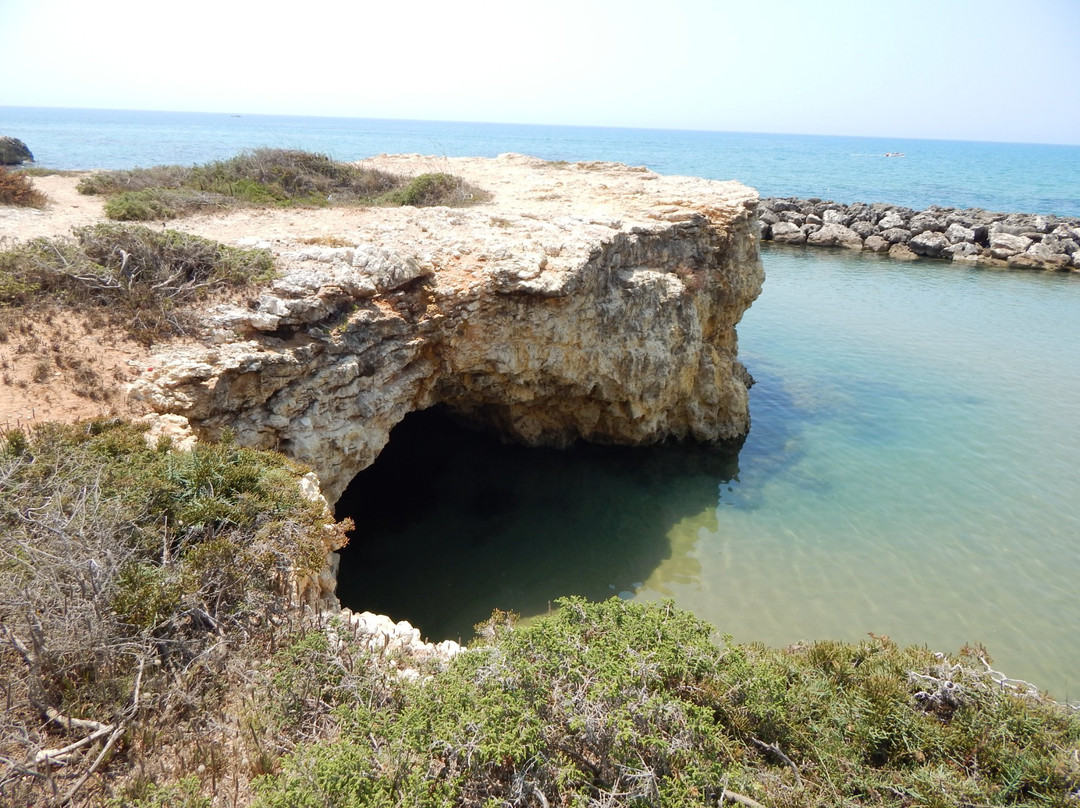 Spiaggia di Punta Cirica景点图片