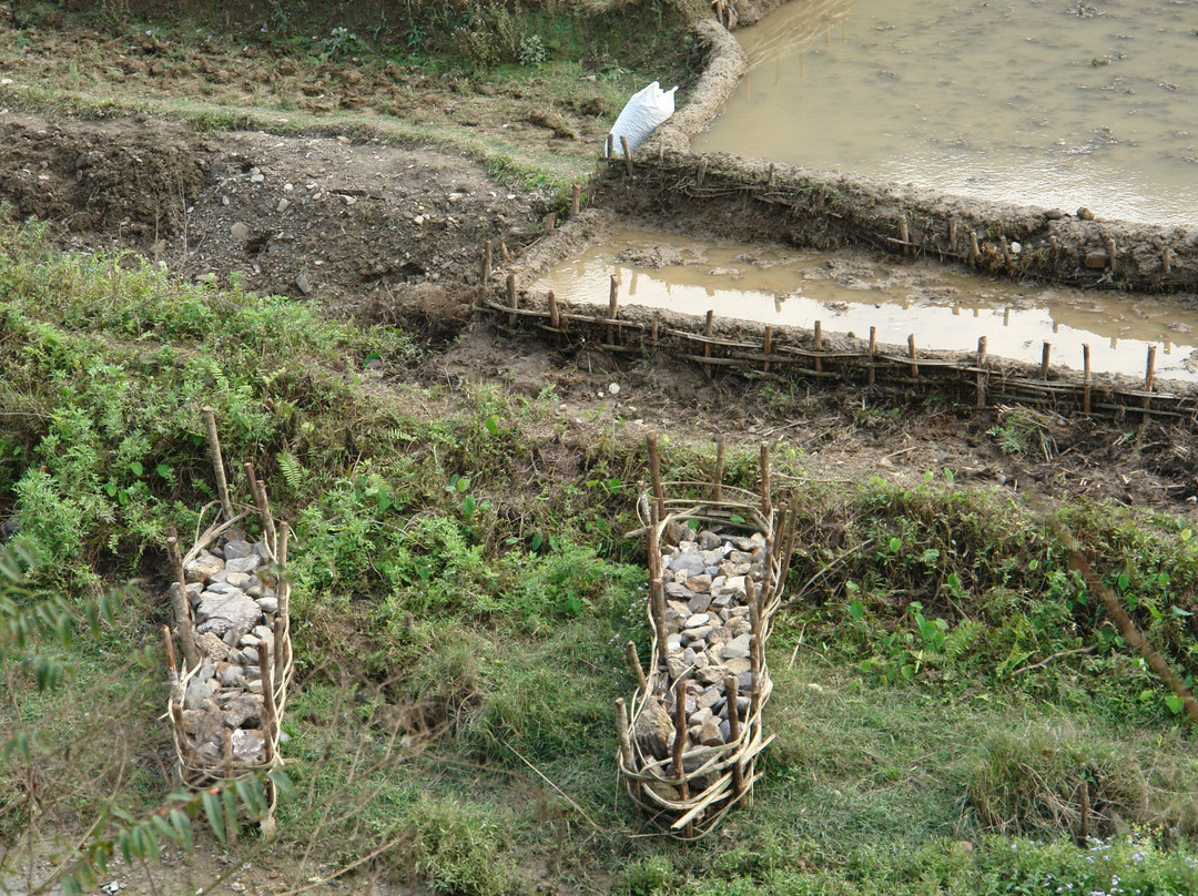 Patan Gate-帕坦（拉利特浦）必去景点