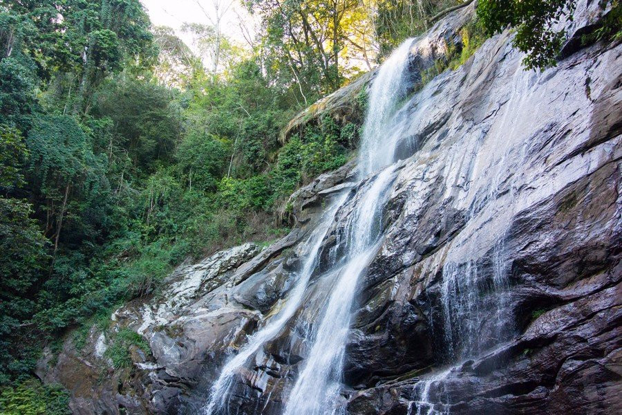 Udzungwa Mountains National Park景点图片