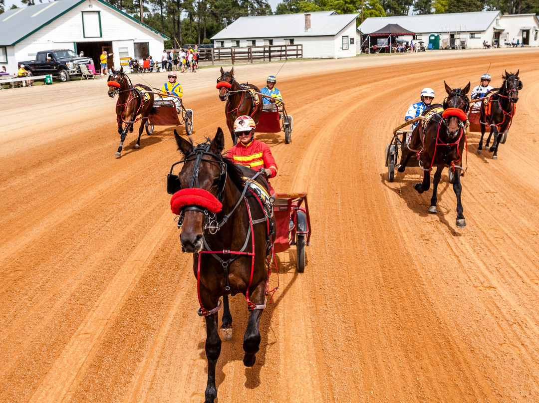 Pinehurst Harness Track景点图片