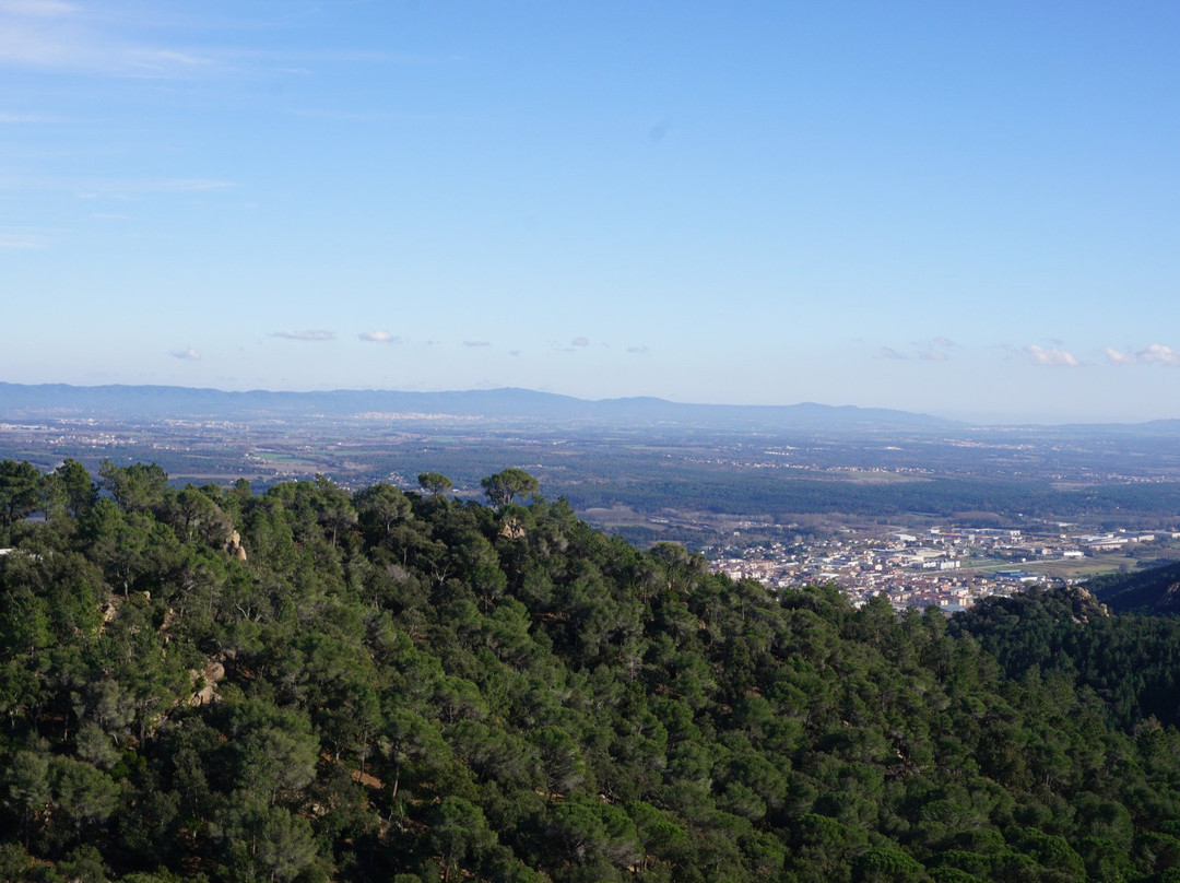 Castell de Farners景点图片