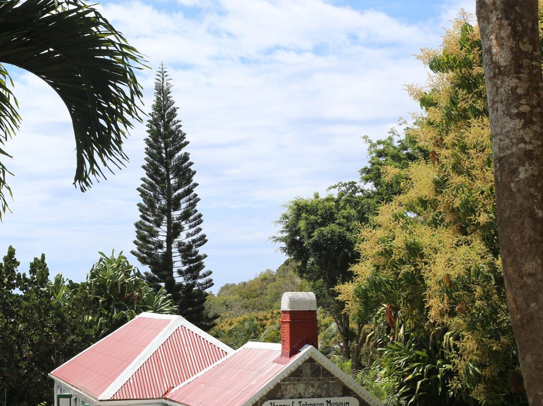 Harry L. Johnson Museum-Windwardside必去景点