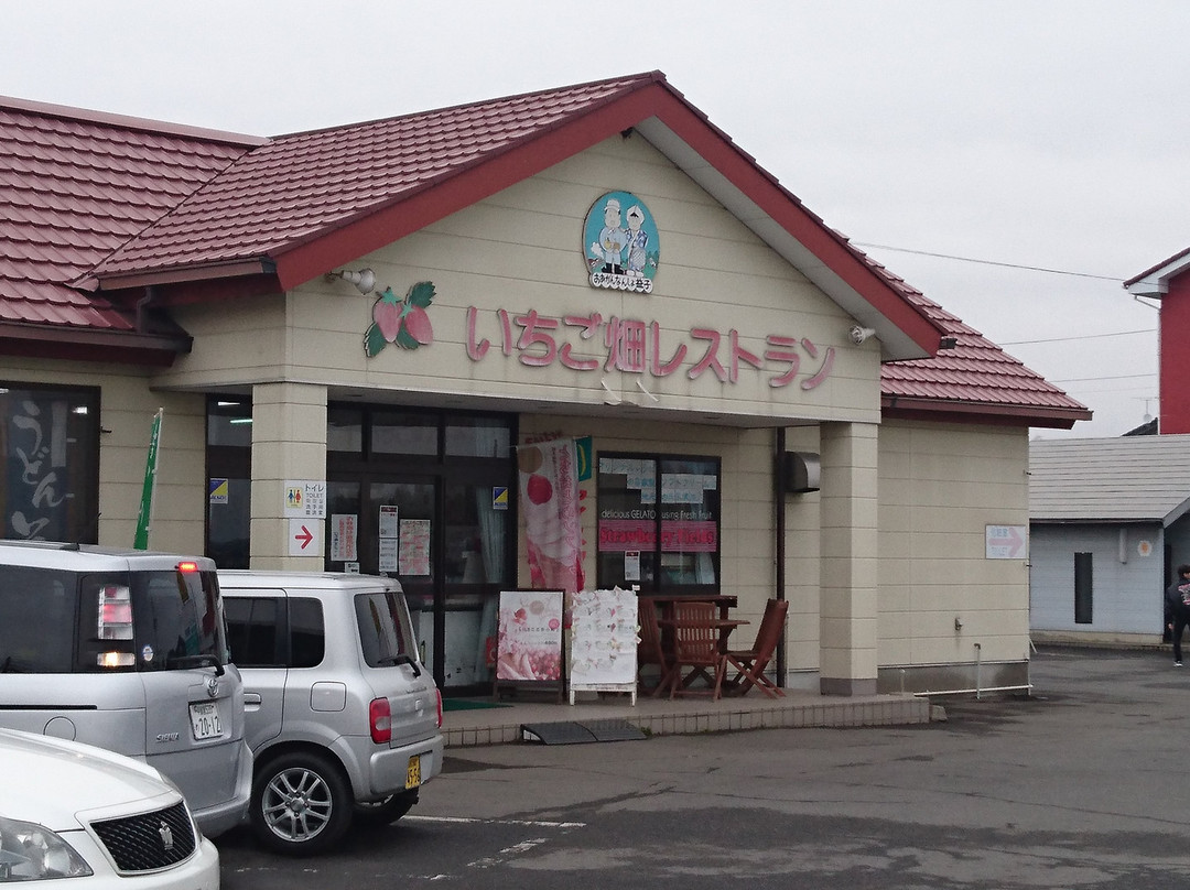 JA Hagano Mashiko Strawberry Picking-益子町必去景点