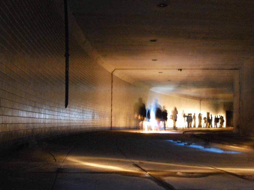 Dupont Underground景点图片