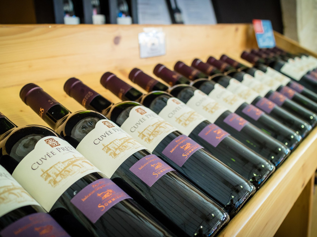 Les Vignerons du Sommierois景点图片
