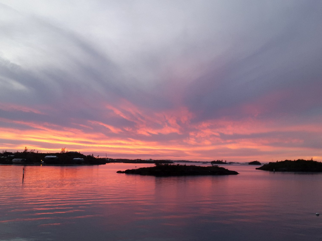 汉密尔顿酒店住宿-Greenbank Guest House And Cottages