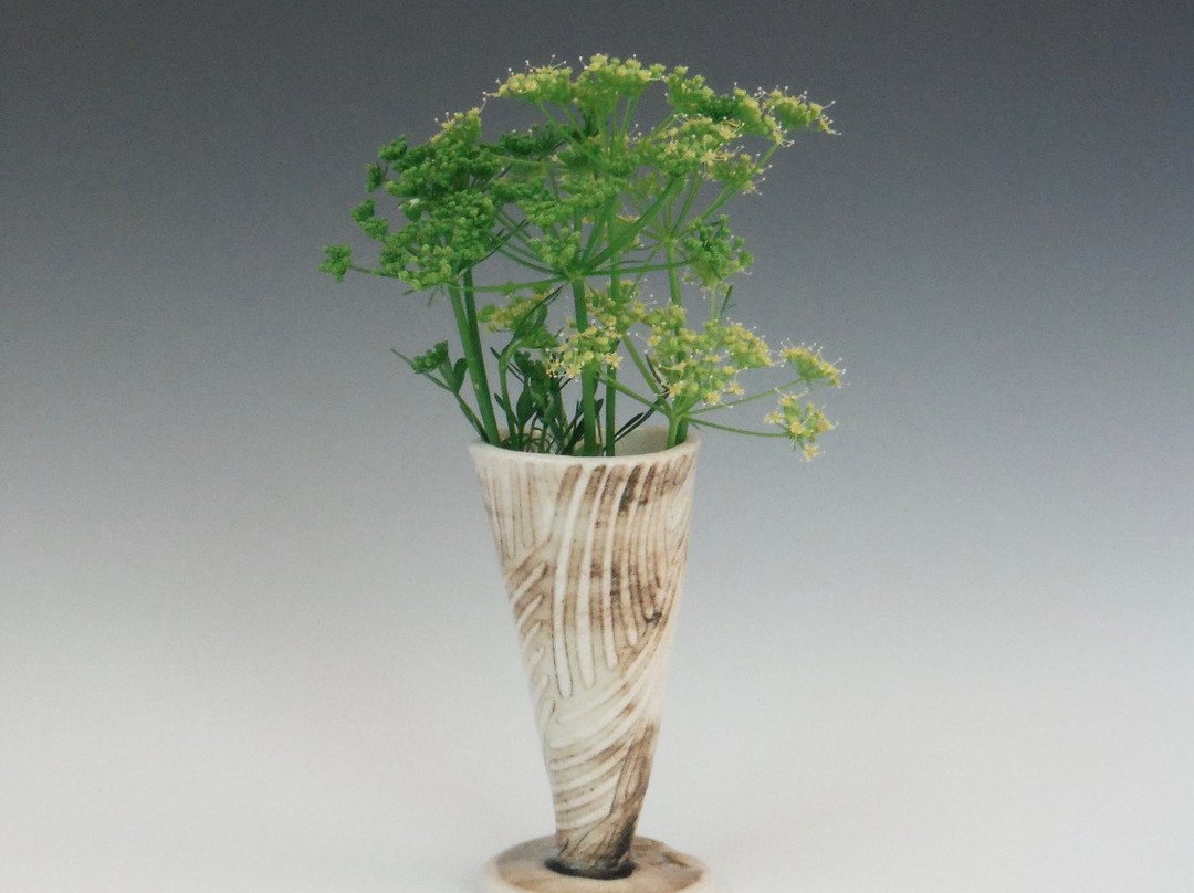 Aspen Glenn Studio景点图片