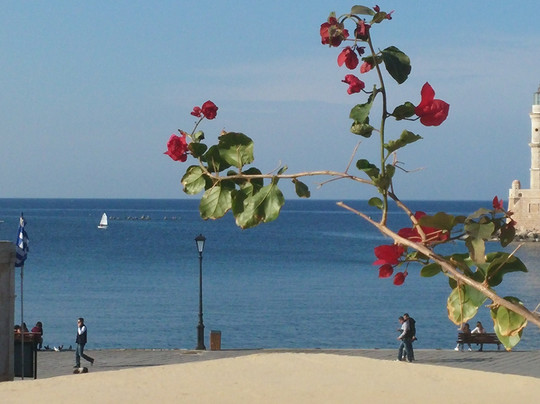 Aeriko Cafe-Bar-干尼亚必去景点