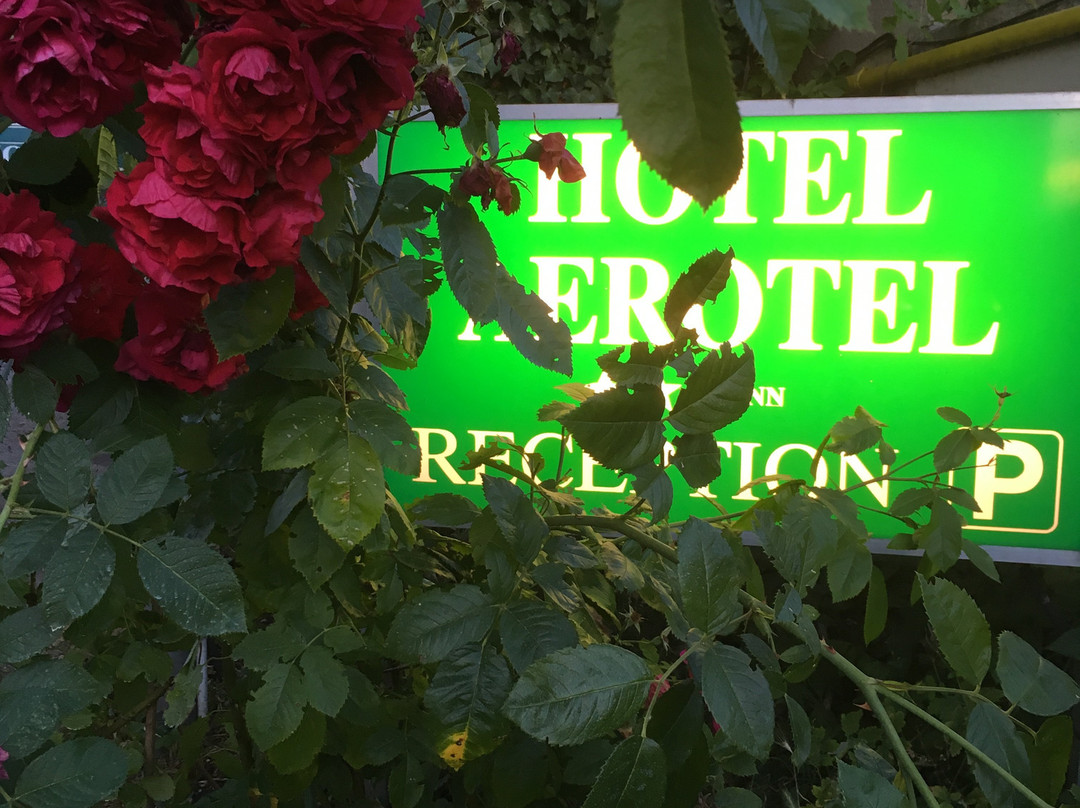 Hotel Aerotel主图