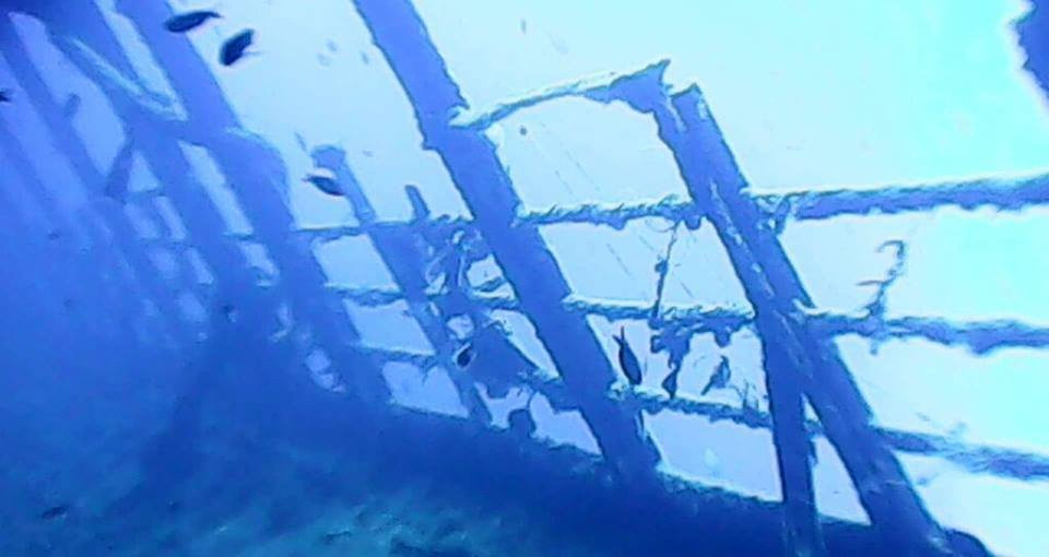 Ecosfera Diving Center-墨西拿必去景点