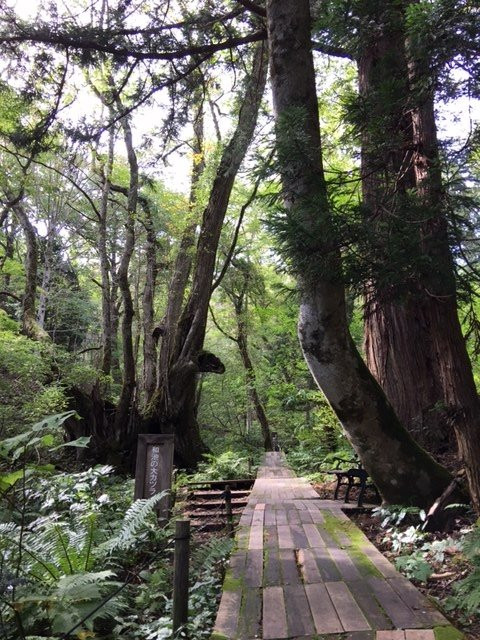 Tajima Kogen Botanical Garden-香美町必去景点