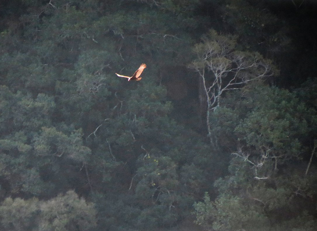 Parada do Guartelá-Tibagi必去景点