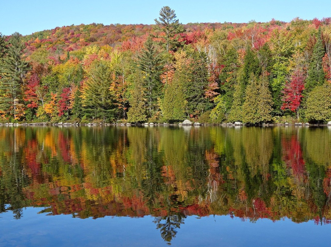 Ricker Pond State Park景点图片