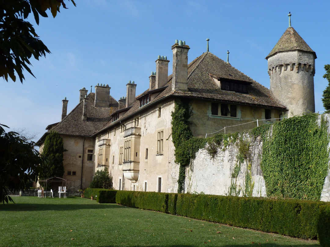 Château de Ripaille景点图片