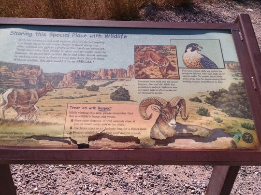 McInnis Canyons Conservation Area-弗鲁塔必去景点