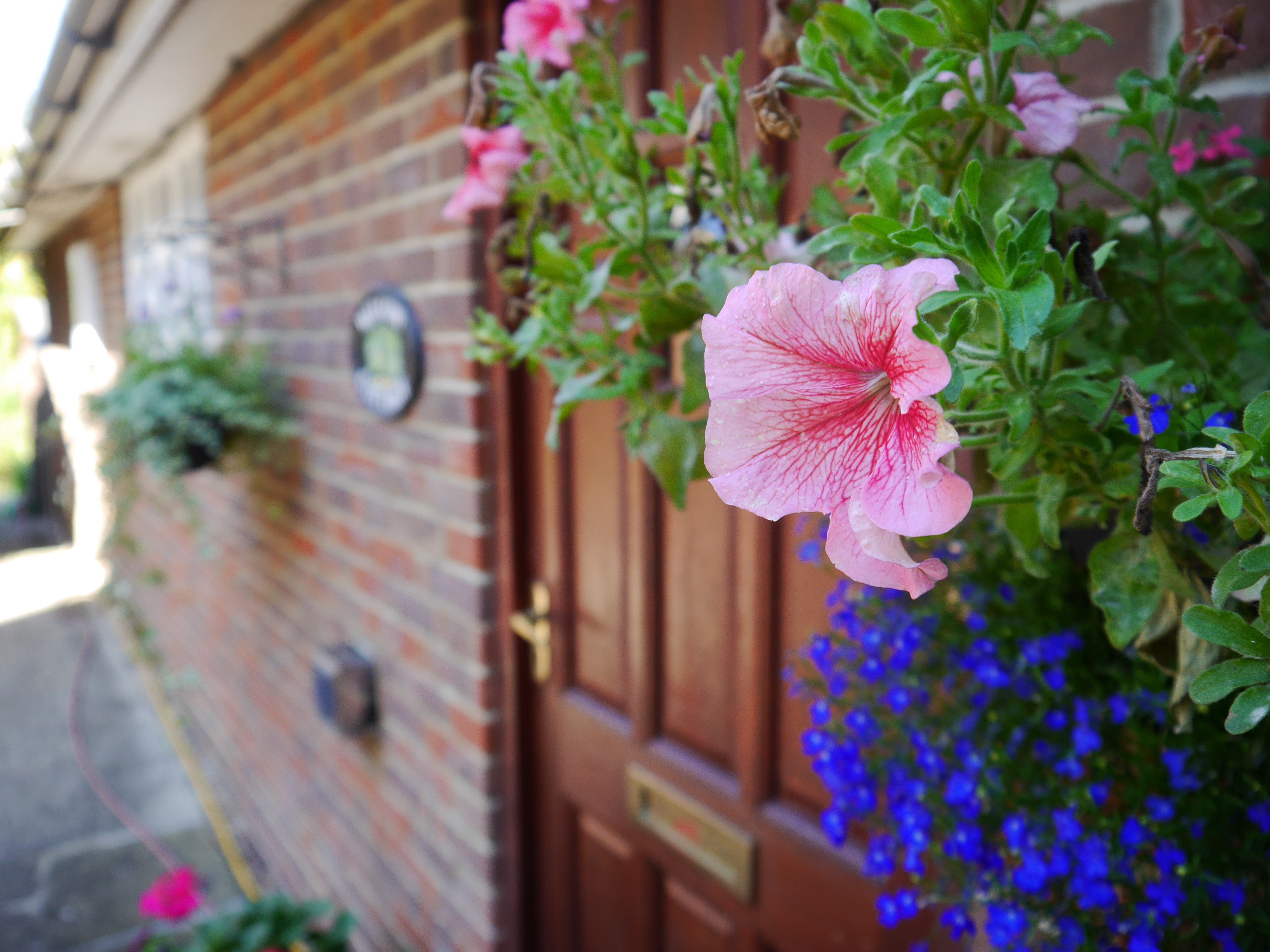 New Farm House Bed & Breakfast-官方
