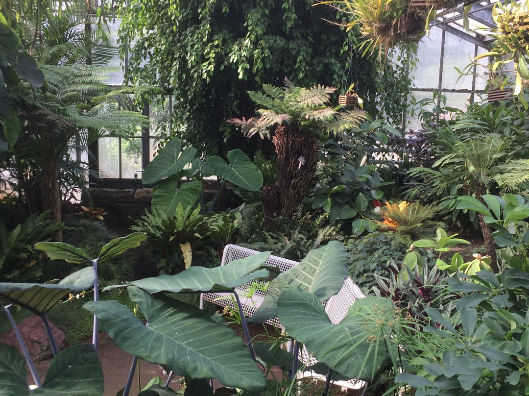 Botanischer Garten Solingen景点图片