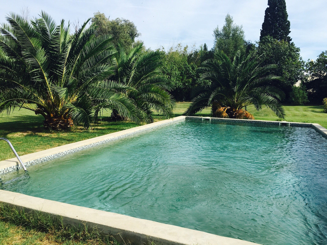 Albaron酒店住宿-Mas de Bouvet