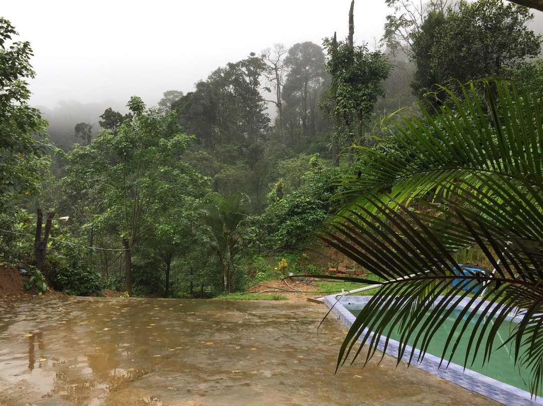 Coorg Coffee Hills Homestay主图