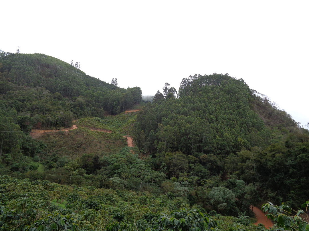 Vinícola Tonole-Venda Nova Do Imigrante必去景点