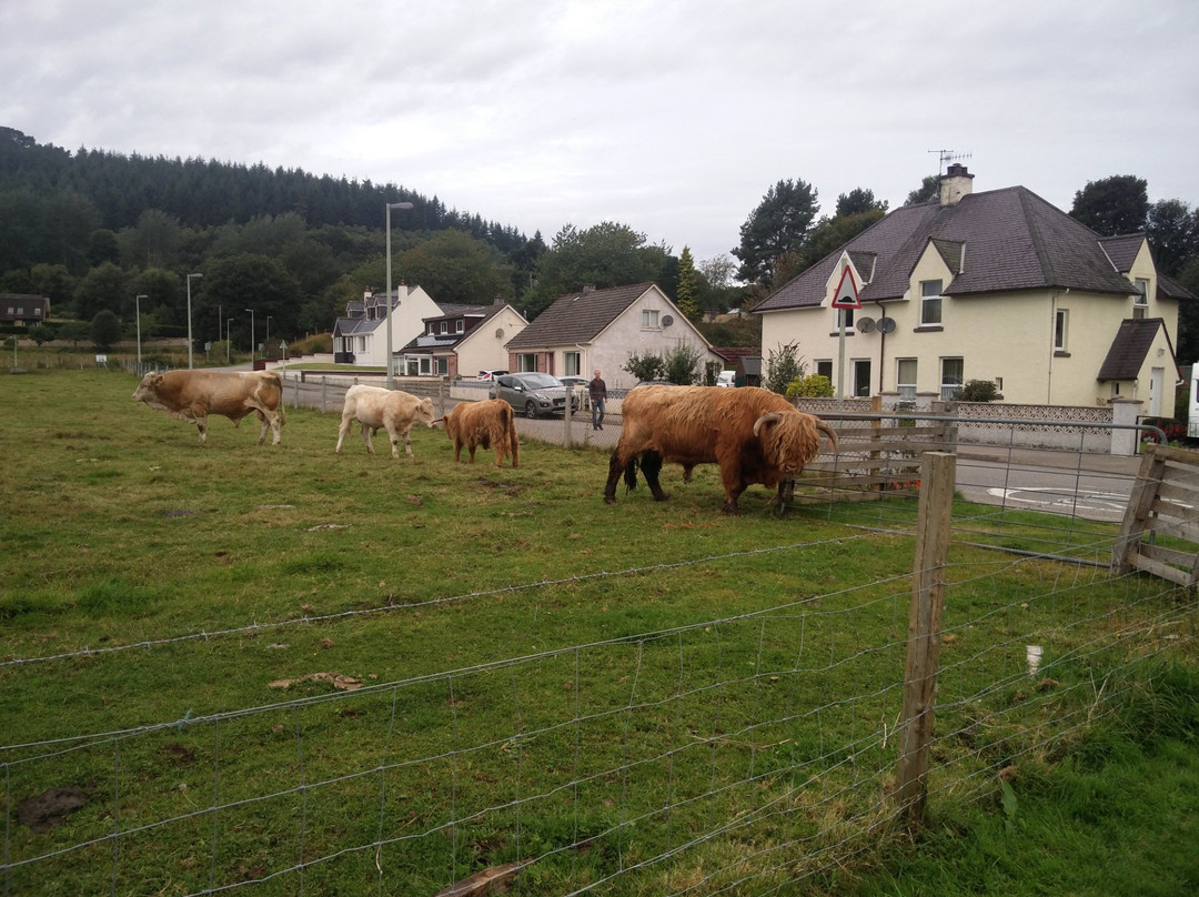 Scottish Car Tours (Isle Ornsay)景点图片