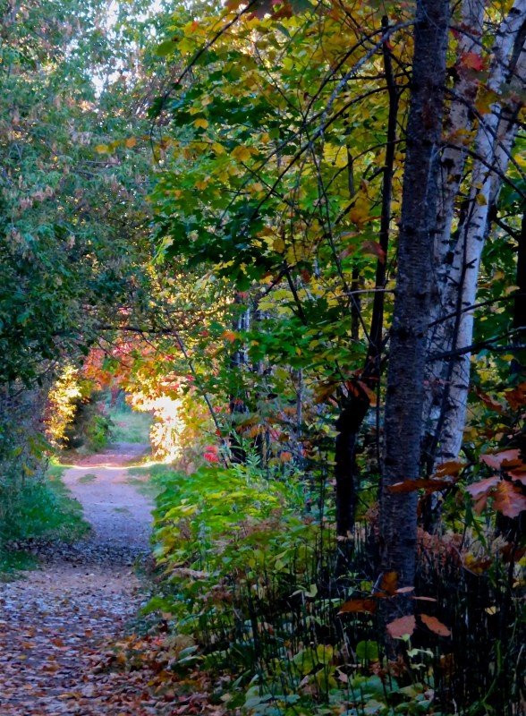 Brownstone Trail-Bayfield必去景点