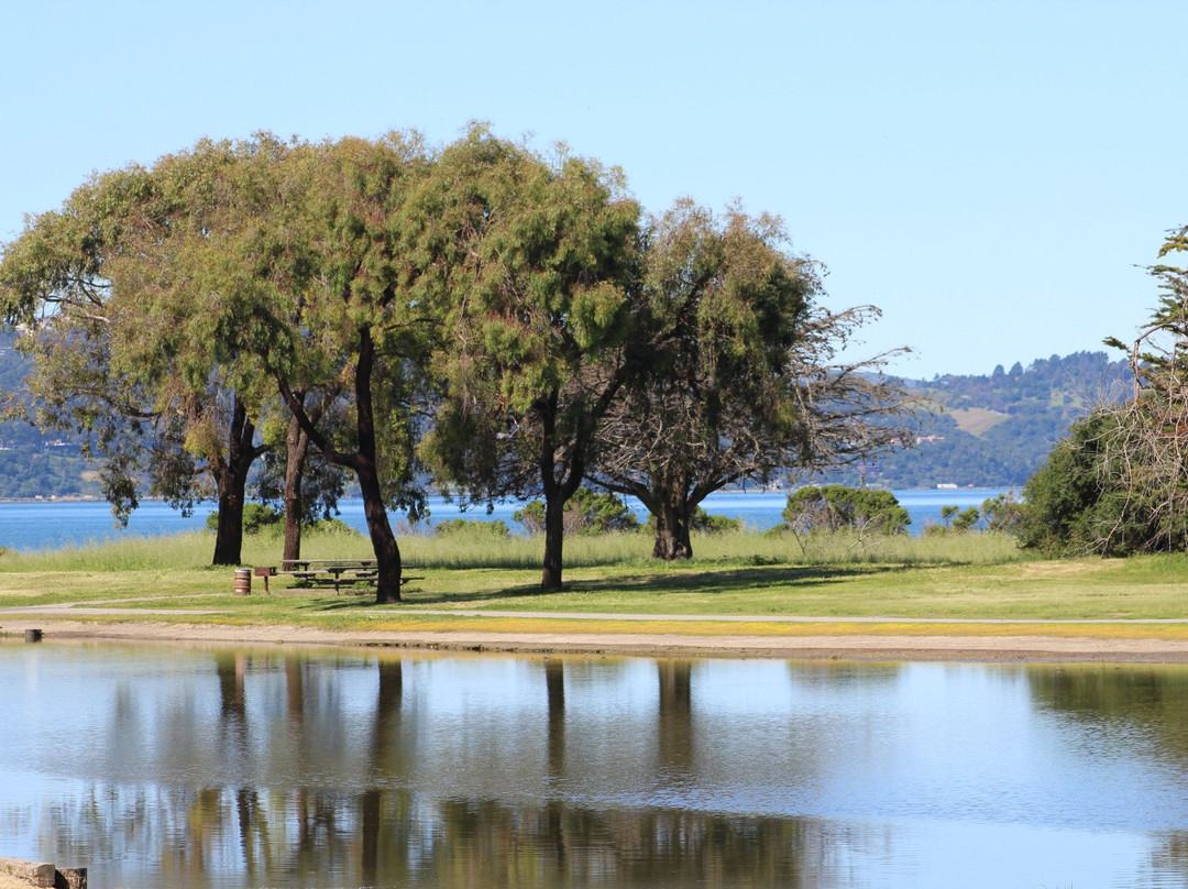 Miller Knox Regional Shoreline-列治文必去景点