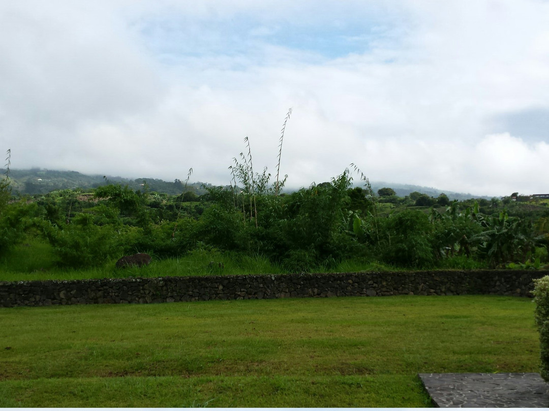 Agrotourism Finca Sermide景点图片