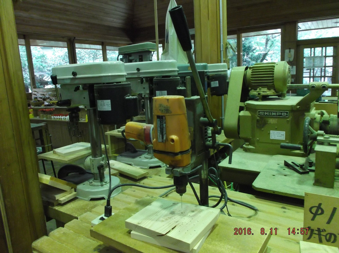 Kanagawa Prefecture 21st Century Forest-南足柄市必去景点