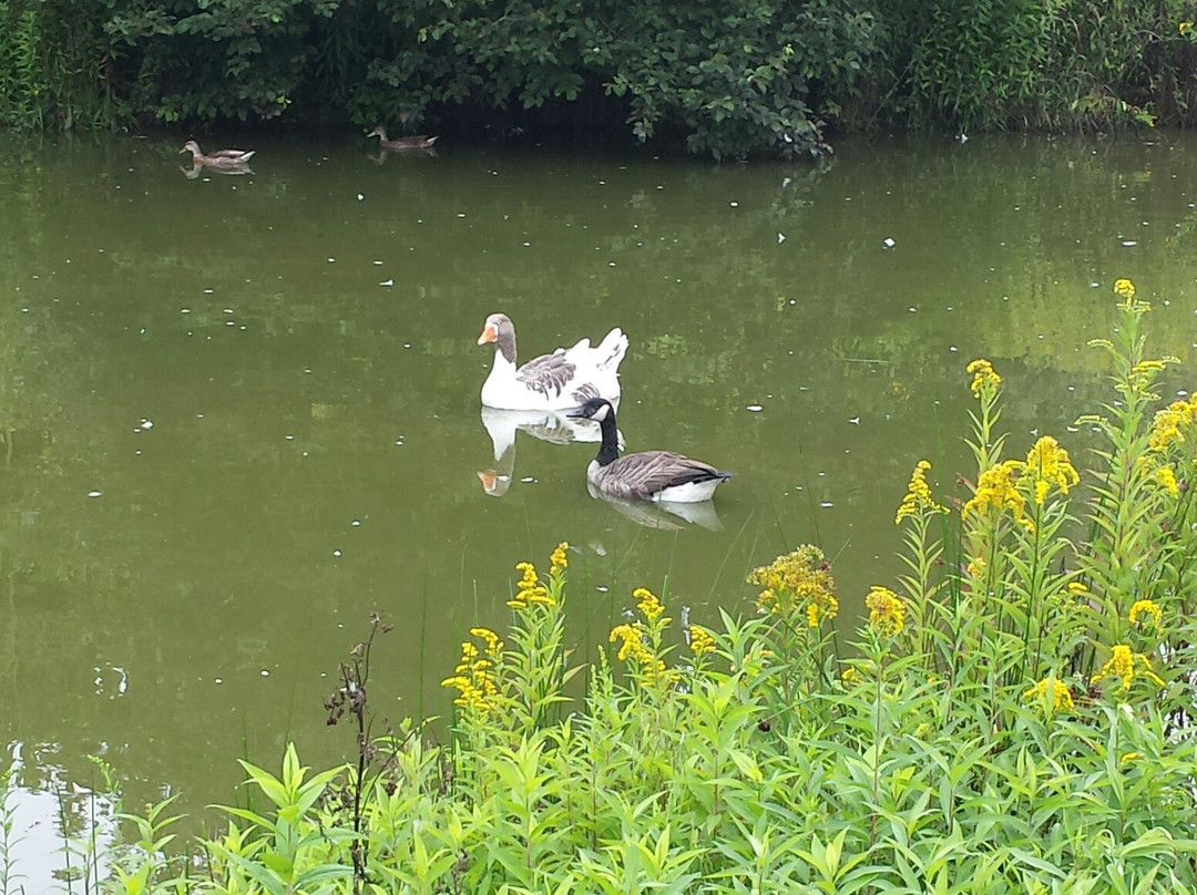 Krewelshof-Lohmar必去景点