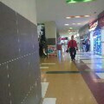 Bosque Plaza Centro Comercial