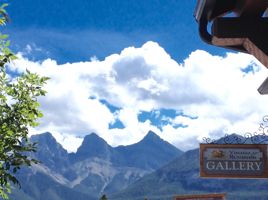 Virginia Ann Hemingson Art Gallery-坎莫尔必去景点