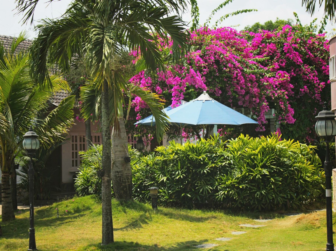 鉆石度假村主图