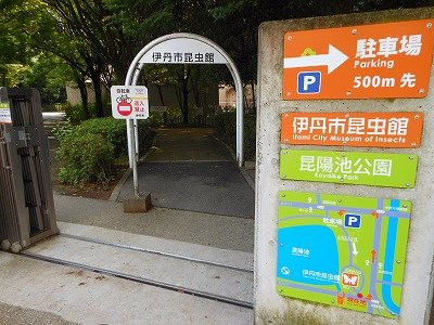 Itami City Museum of Insects-伊丹市必去景点