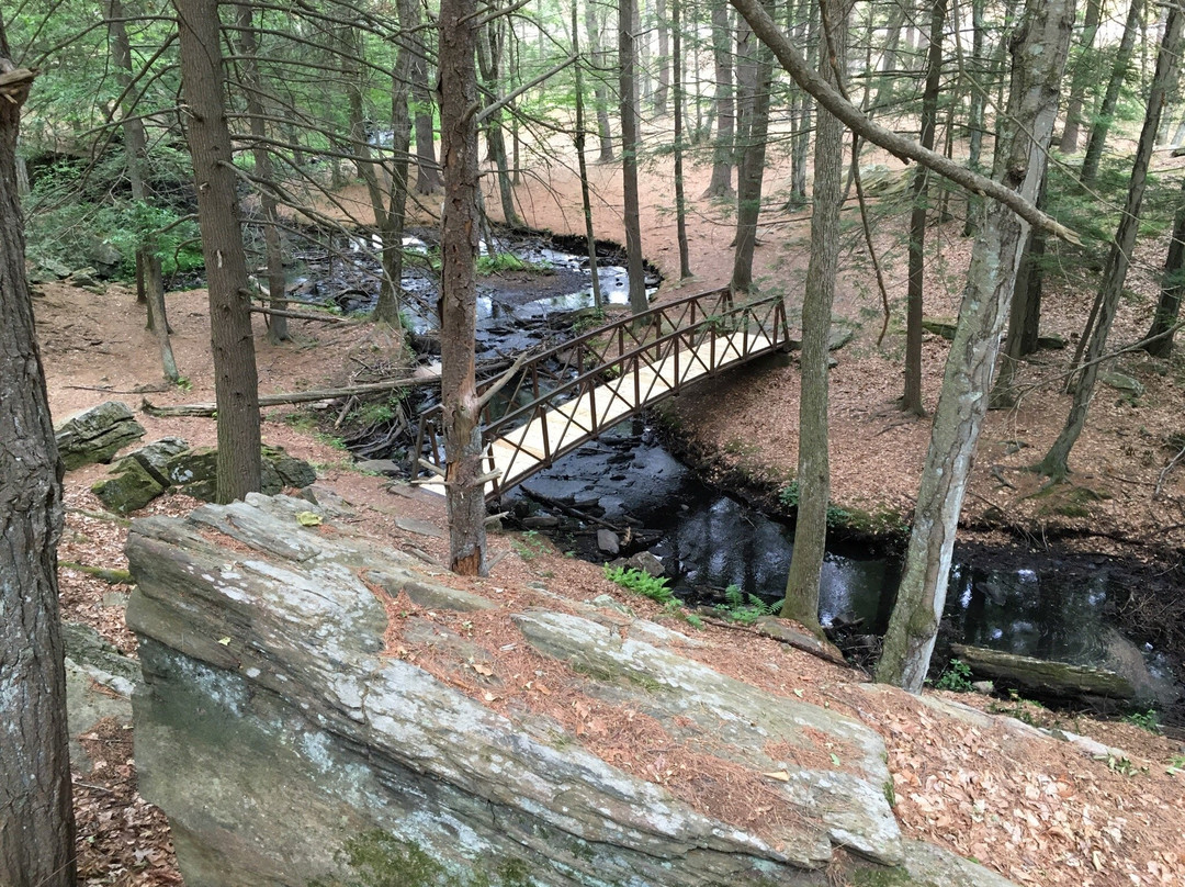 Mowry Conservation Area-Smithfield必去景点