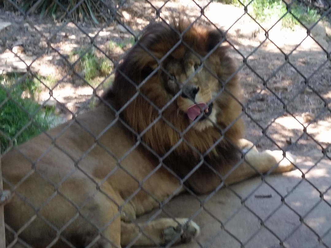 Riverside Wildlife Center-斯坦顿必去景点
