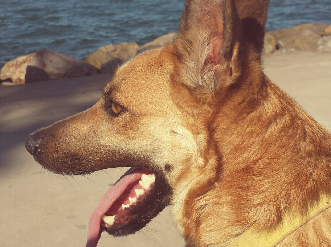 Mar Chica-Nador必去景点