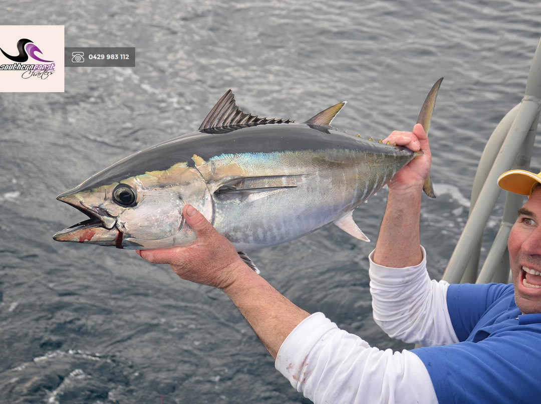 Southern Coast Charters-仙女港必去景点
