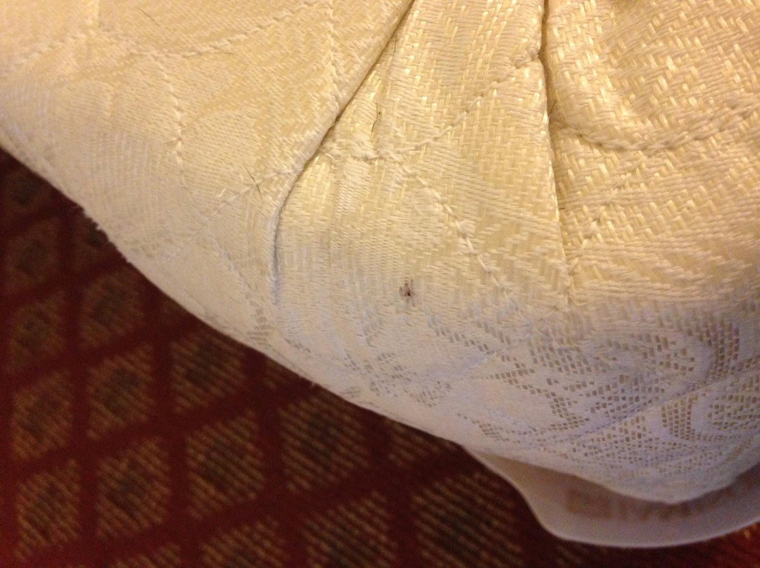 Sierra Vista Extended Stay主图